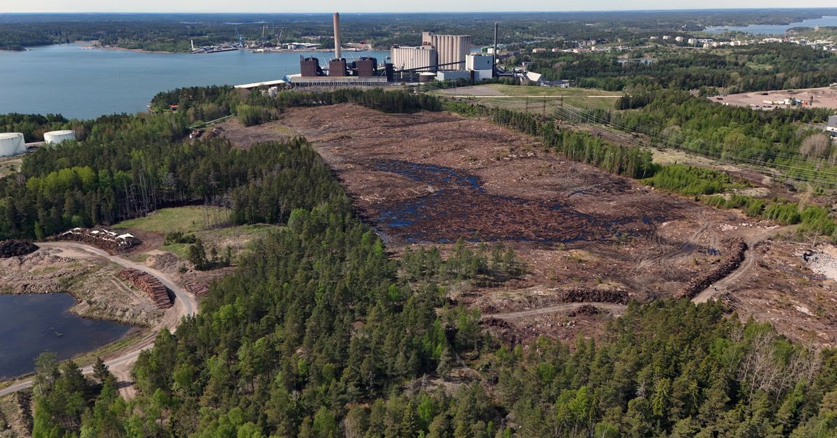 Venäläisestä ammoniakista päästäisiin eroon, jos Naantalin vihreän ammoniakin tehtaasta saadaan päätös