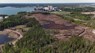 Laaja metsäalue on raivattu teollisuuslaitoksen läheisyydessä merenrannalla.