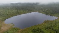 Ilmakuva lammesta metsän keskellä.