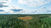 Laaja metsäalue, jonka keskellä avautuu soinen aukea; taustalla sininen taivas pilvineen.