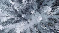 En ovanifrån vy av en snöklädd skog, där träden är täckta med frost eller snö.