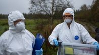 Två veterinärer klädda i heltäckande vit skyddsutrustning. 