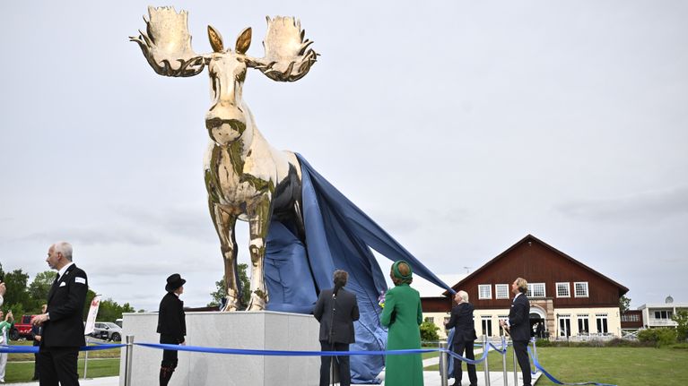 Svenska kunden drar ett stort skynke av en stor guldfärgad älgskulptur.