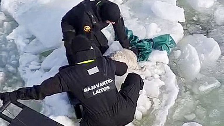Merivartioston kaksi työntekijää pelastaa kuuttia jäältä.
