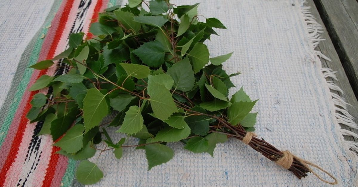Yksi sana jakaa suomalaisten mielipiteet kahtia – sanotko vihta vai vasta?