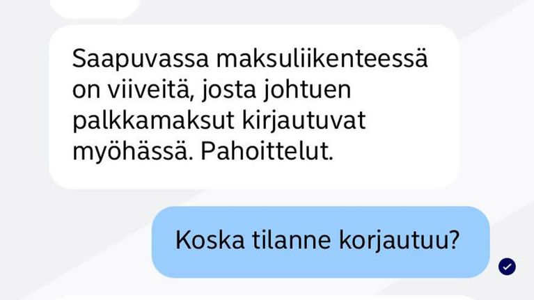 Kuvakaappaus asiakkaan ja neuvojan välisestä keskustelusta Noredean chatissa.