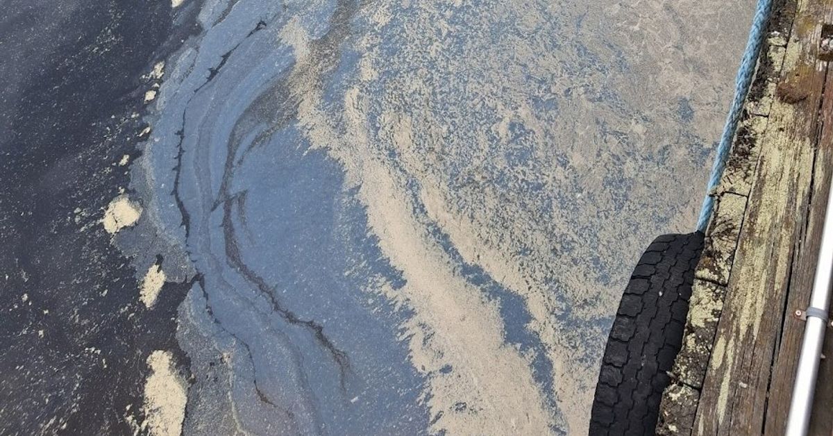 Pelastuslaitoksen toive kansalaisille: varmista, onko kalvo veden pinnalla öljyä vai siitepölyä