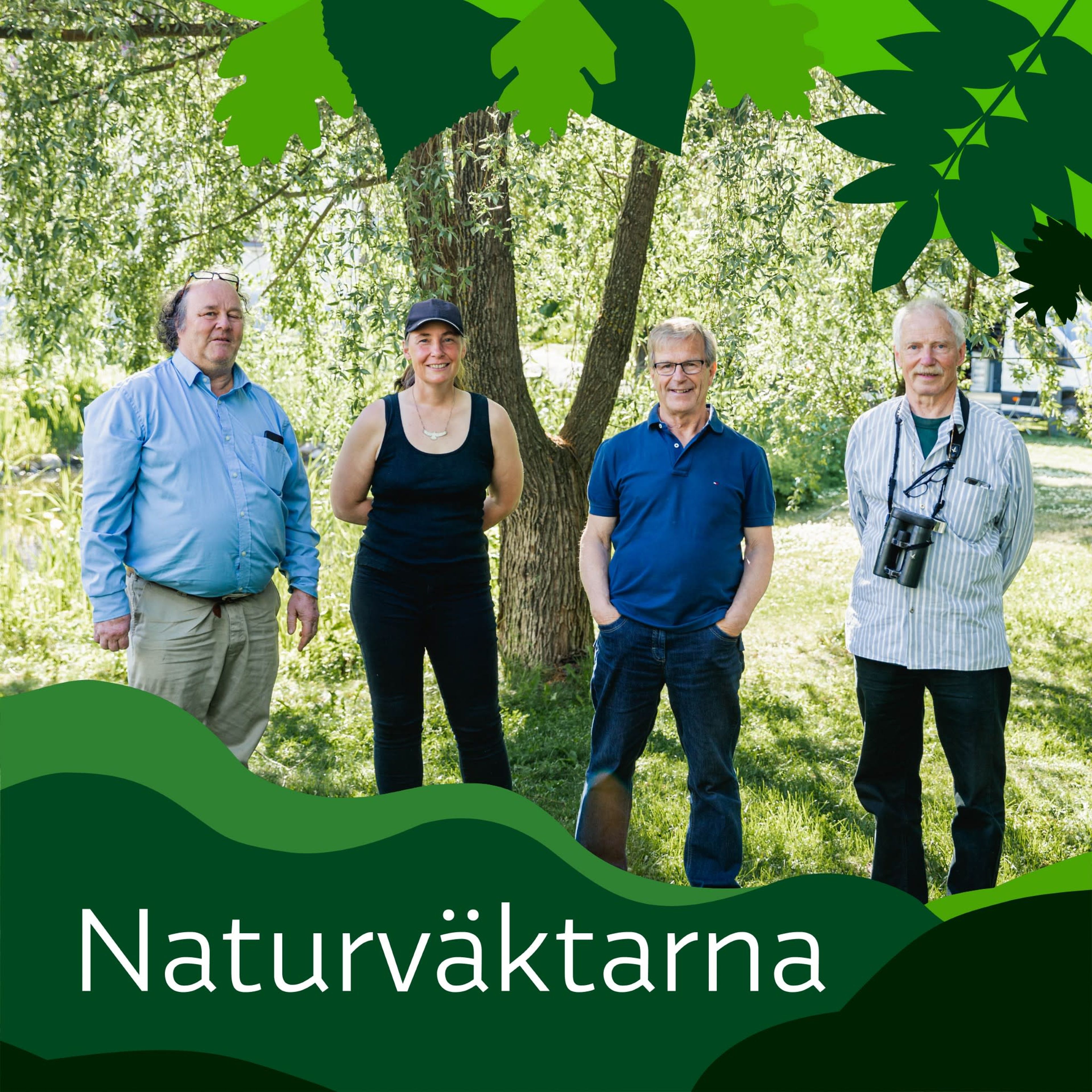 naturv-ktarna-naturv-ktarna-yle-areena