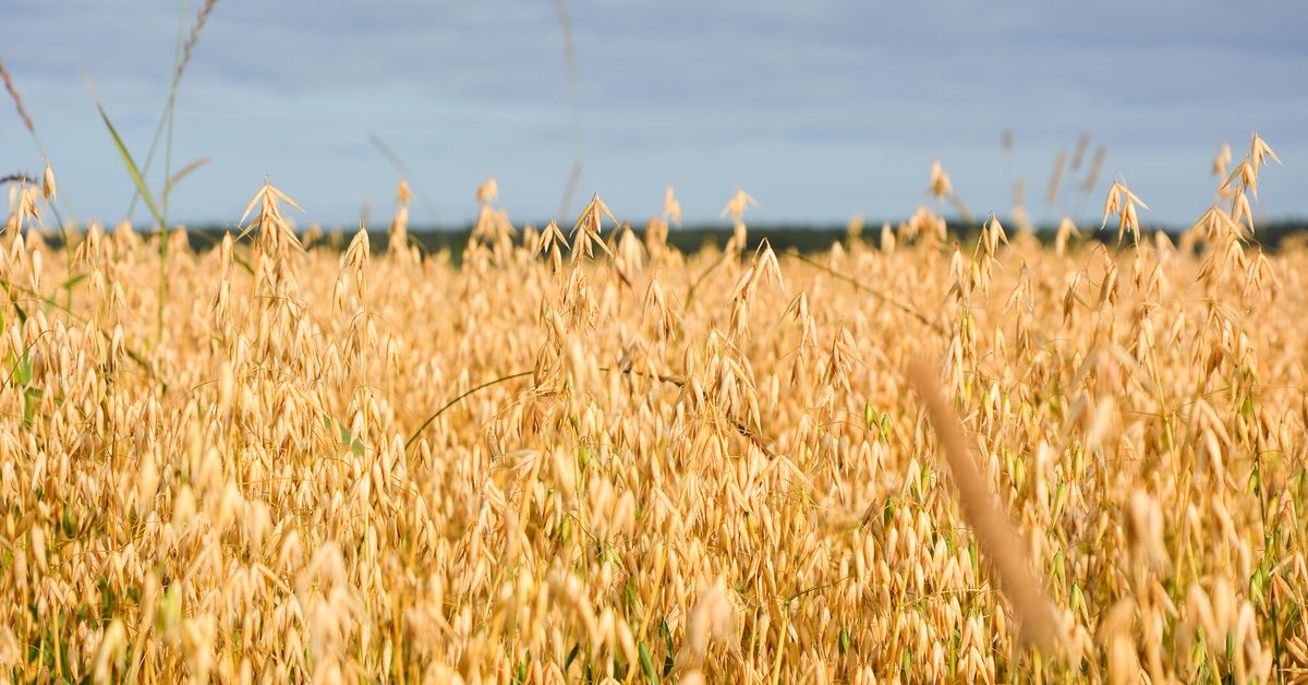 Monday's papers: Hate speech spike, vegan milk boom, Nordic heat bubble