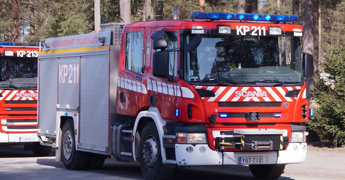 Chasing snake away with petrol results in house fire in southern ...
