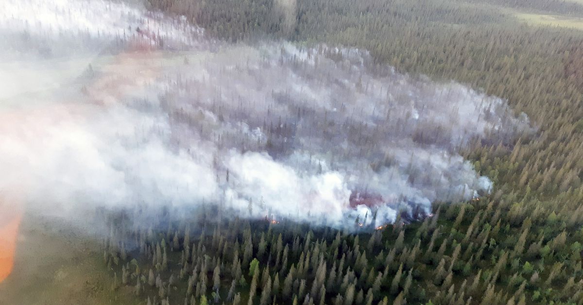 Wildfires rage in Lapland, more threaten Finland from the east