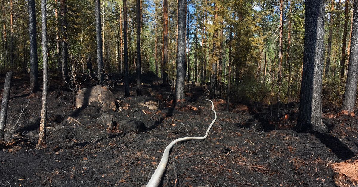 Firefighters battle blazes around Finland amid new heat warnings