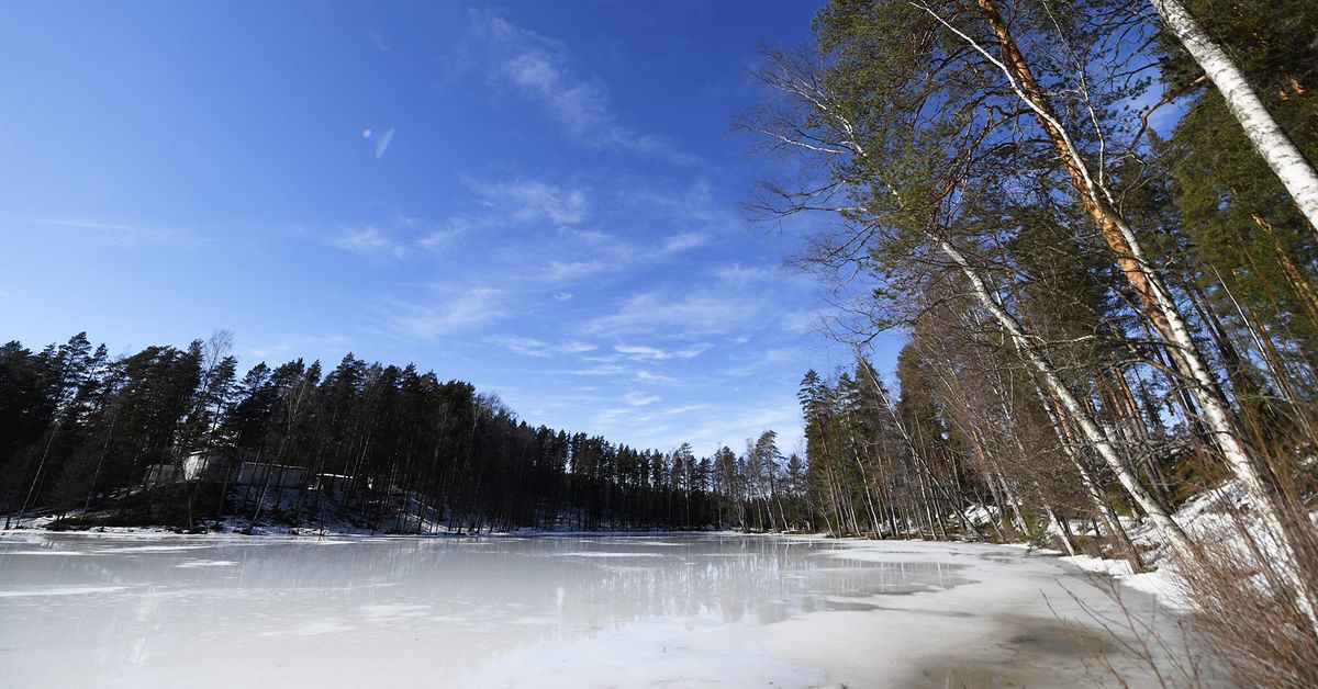 Sivullinen pelasti jäihin vajonneen ihmisen ja koiran Lestijärvellä | Yle