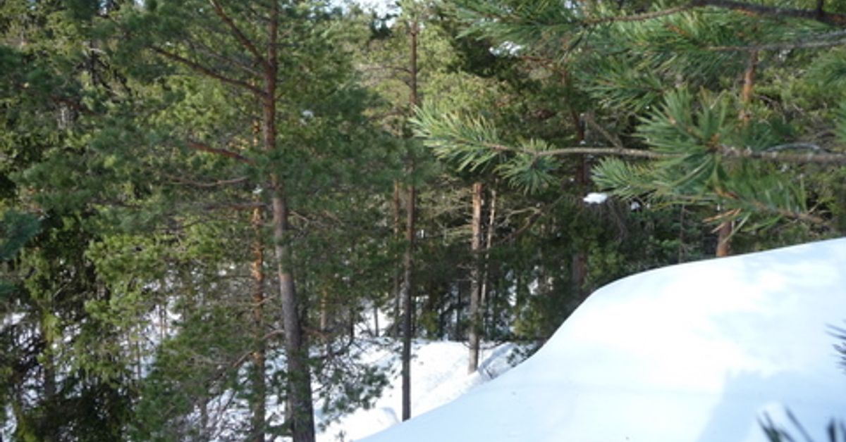 Pocket-Sized National Park Planned in Sipoo | Yle