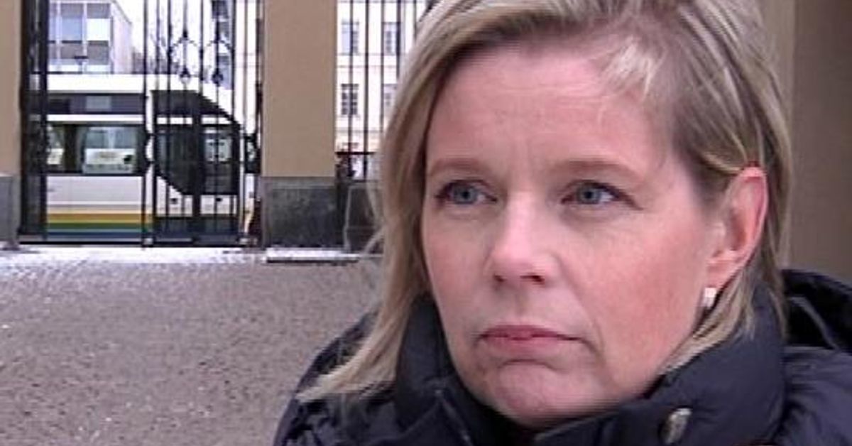 Kokoomuksen puoluehallitukseen kuuluva Sari Rautio pitää sateenkaarta ...
