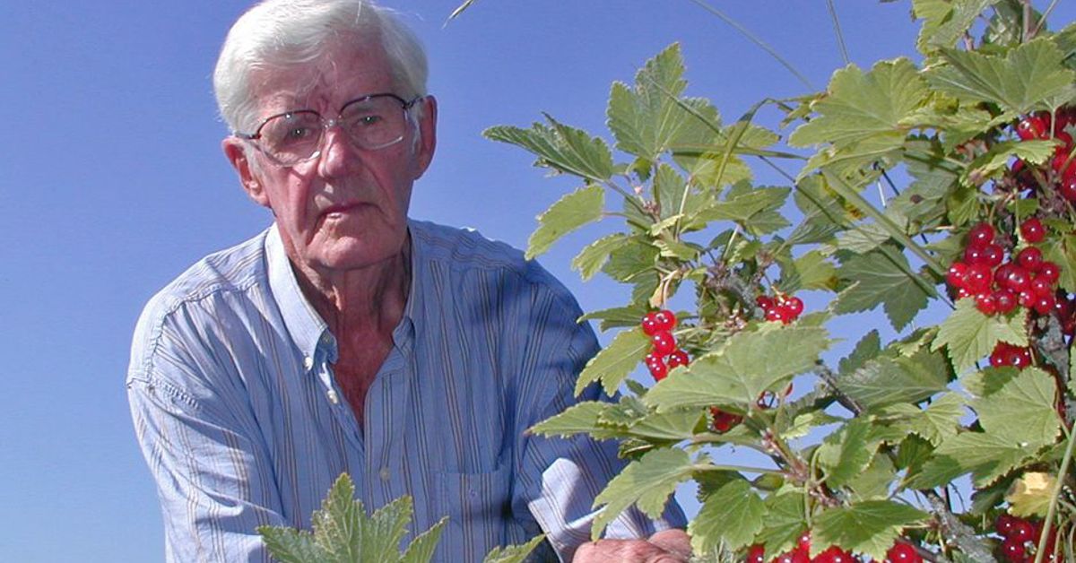 Sääprofeetta Ahti Rantanen ennustaa hyvää loppukesää | Yle