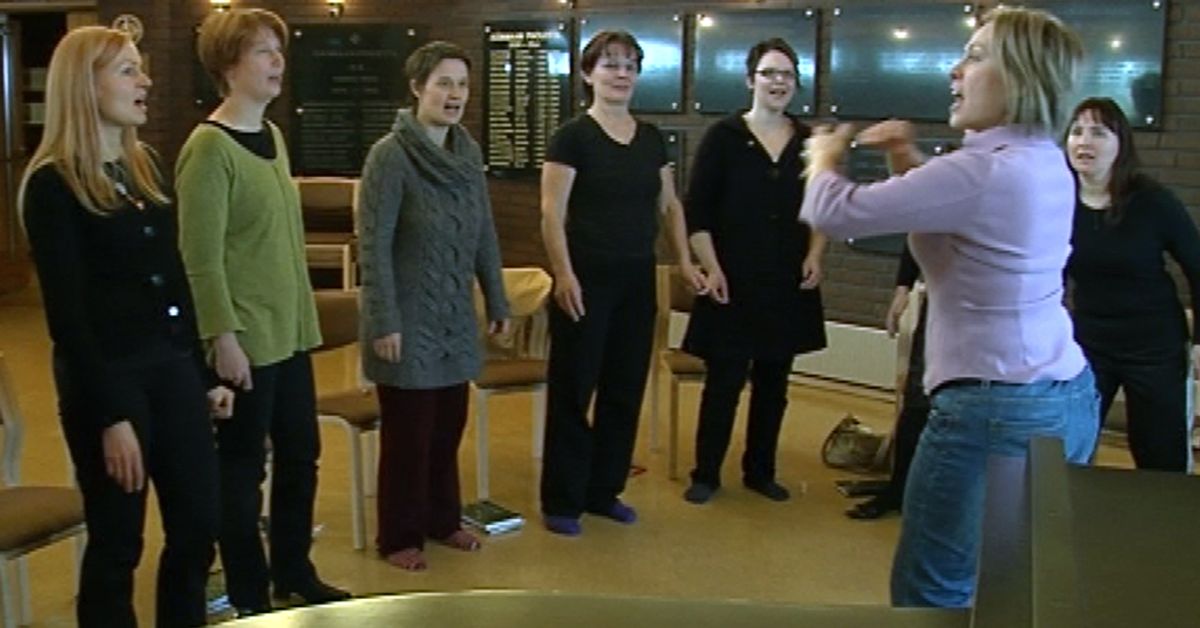Sarka paransi luovan alan saavutettavuutta | Yle