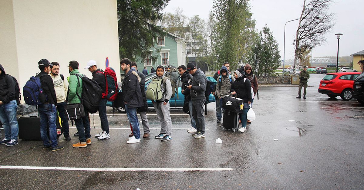 Immigration service refuses nearly half of 2015 asylum applications | Yle