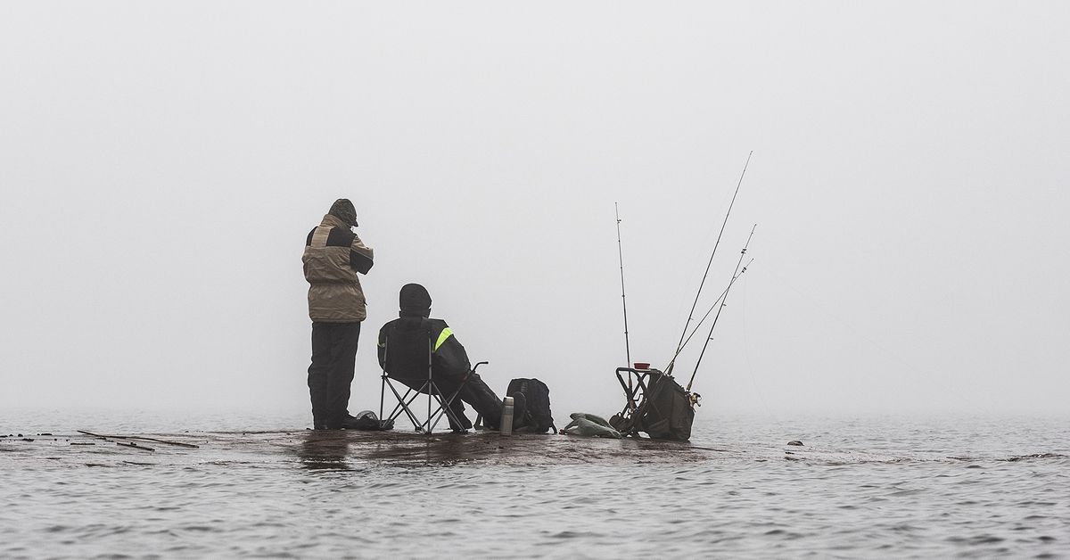 Finland sees warmest New Year’s Eve on record