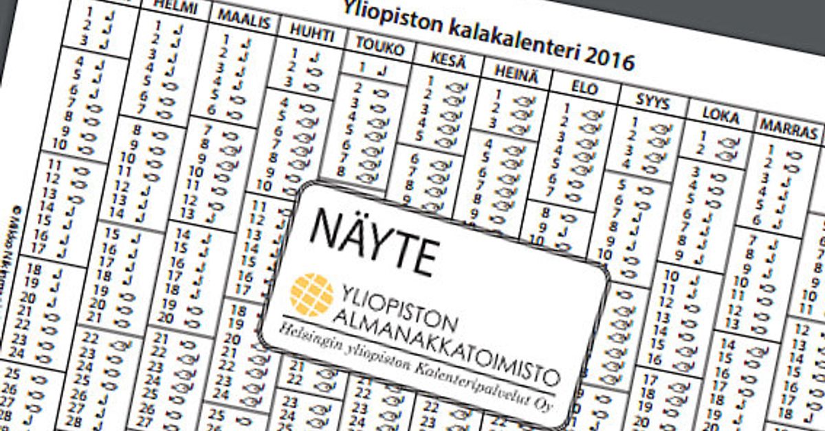 yle.fi