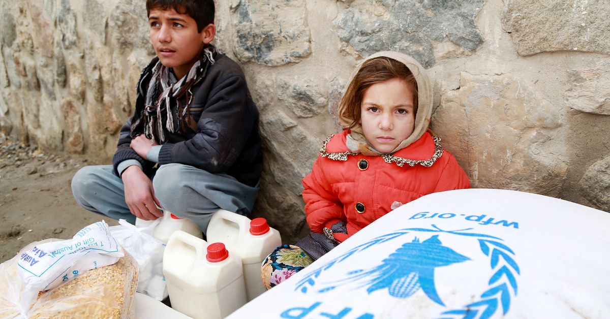 Poll: Finnish support for development aid at 10-year high | Yle