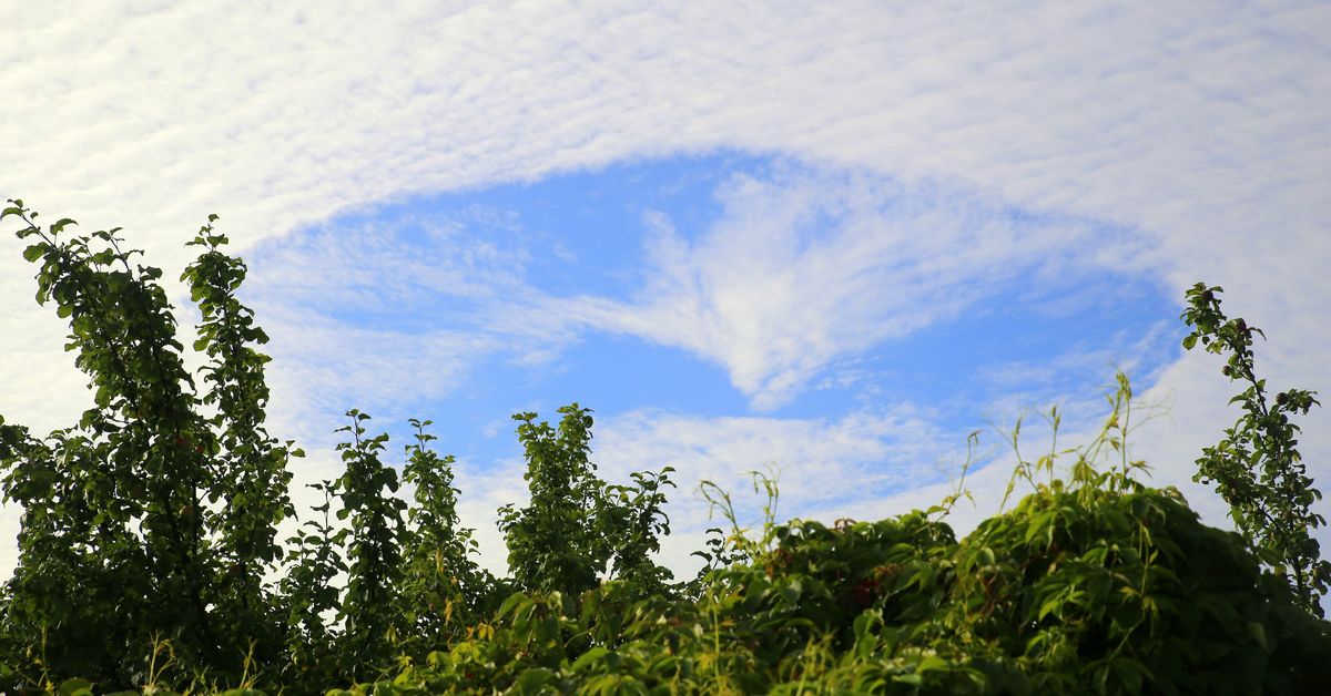 Thursday’s papers: Rail reform, street food and that photogenic skypunch
