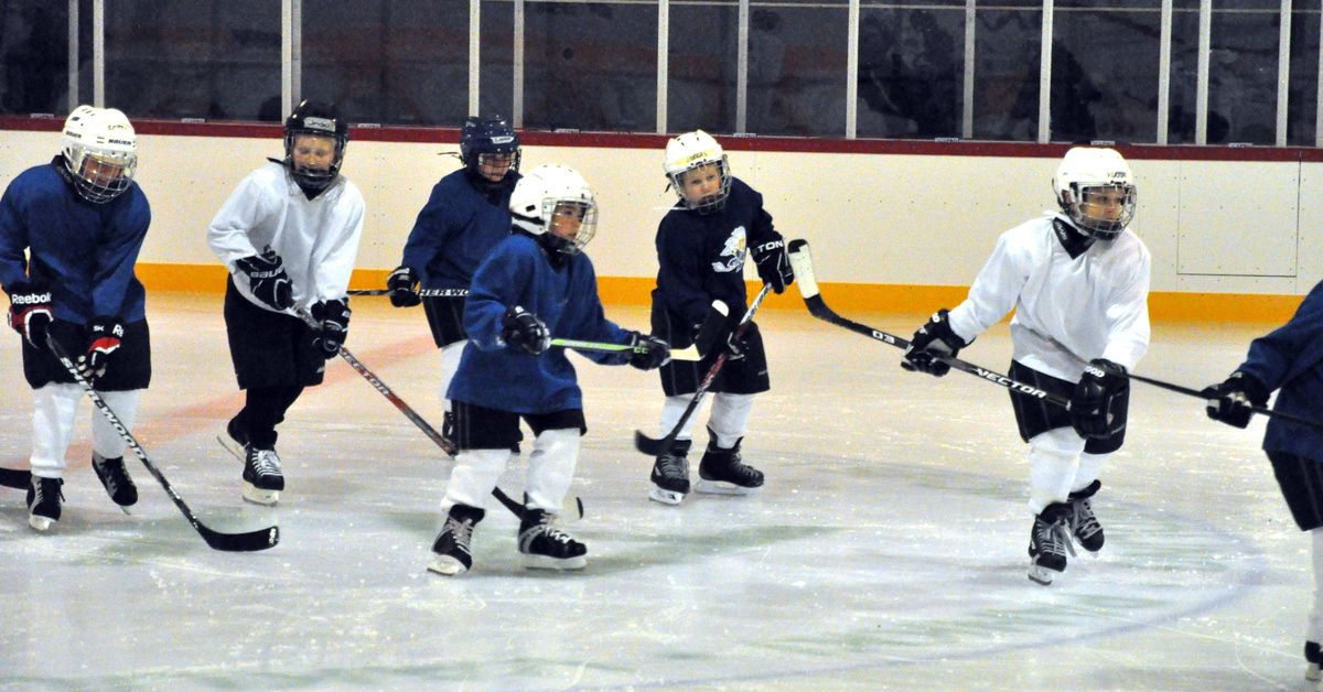 Ishallen ger uppsving för Ice Team Raseborg | Västnyland | Svenska Yle