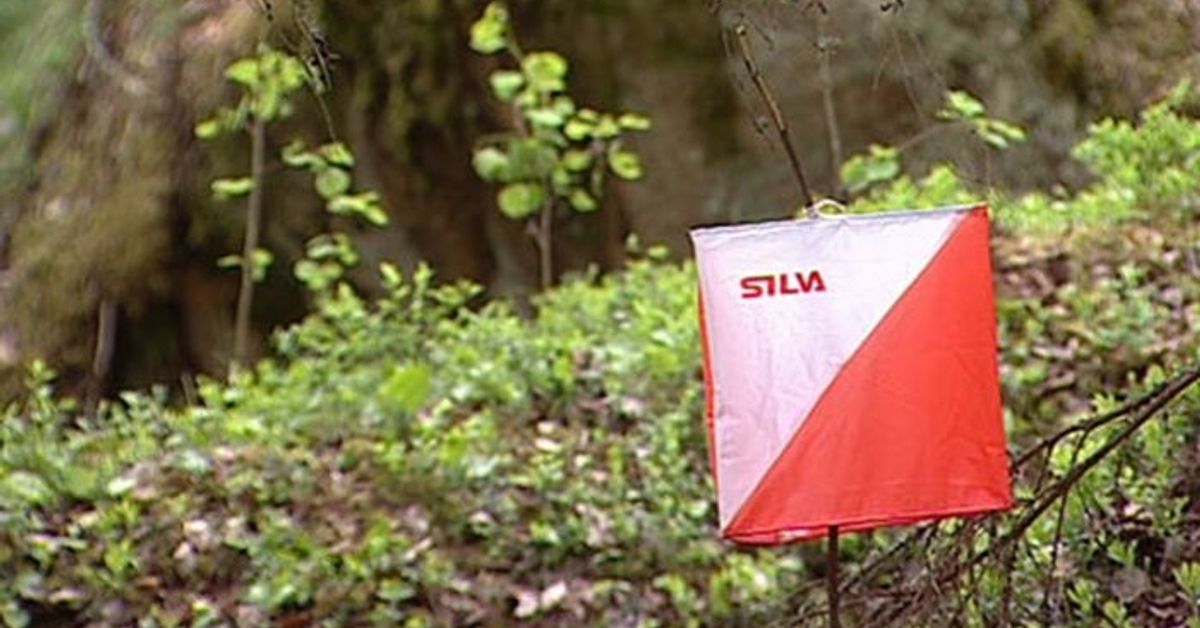 Tre guld till OK Raseborg | Västnyland | Svenska Yle