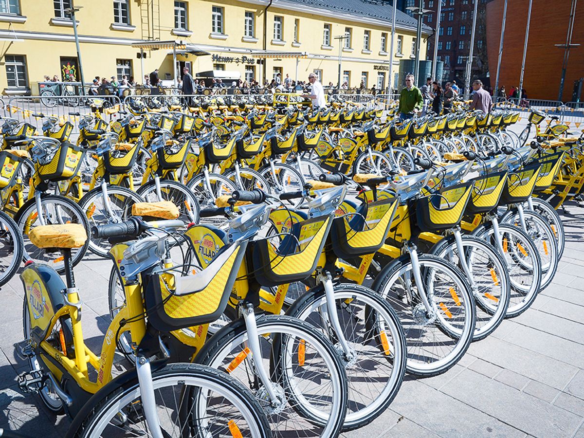 prophete elektrofahrrad erfahrungen ENTDECKER 5,0, 28 Zoll für Damen und Herren, Mittelmotor 250W, 100 Nm, Integrierter Akku 630Wh, mit 10-Gang Kettenschaltung, Reichweite bis 200 km Sport & Freizeit schuber Size:55 - High Step Tomaten NIEMALS so lagern