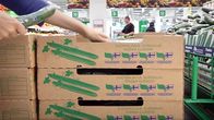 Suomalaisia kurkkulaatikoita kaupan vihannesosastolla.