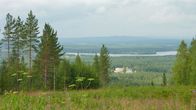 Saukkovaara.