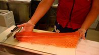 Kirjolohifilee tiskillä.