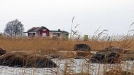 Mökki Pyhäjoen Hanhikivessä