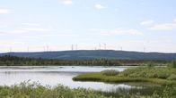 Havainnekuva