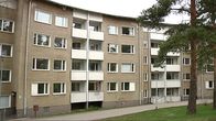 Siilitie 7:n pihapiiri.