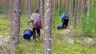Thaimaalaisia marjanpoimijoita Ruokolahdella