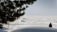 Fennovoiman ydinvoimalan suunniteltu sijoituspaikka Hanhikiven niemellä 24. helmikuuta 2013.