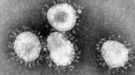 koronavirus mikroskoopissa
