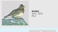 muuttolintuja infografiikassa