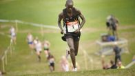 Lewis Korir