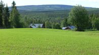 Pellon takana kainuulainen varamaisema ja maatilan rakennusten kattoja.