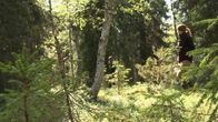 Riistakolmiolaskenta käynnissä