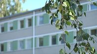 kaivannon sairaalan ikkunoita ja koivunoksa.