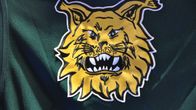 Ilveksen logo.