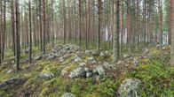 jätinkirkko