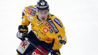 ville vahalahti 