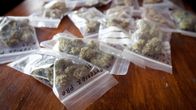 Muovipussukoihin pakattuja kannabisnäytteitä pöydällä.
