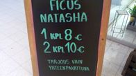 ficus natasha