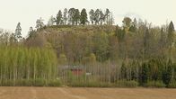 Hakoisten Linnavuori Janakkalassa