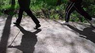 Sauvakävelijöitä metsätiellä.
